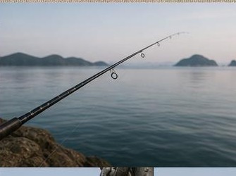 입질이 없을 때 미끼부터 바꾸면 될까요?